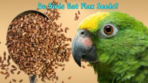 Do Birds Eat Flax Seeds? A Comprehensive Guide to Feeding Birds Flax Seeds