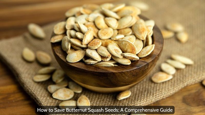 How to Save Butternut Squash Seeds