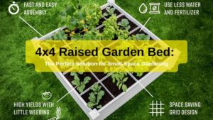 4×4 Raised Garden Bed: The Perfect Solution for Small-Space Gardening