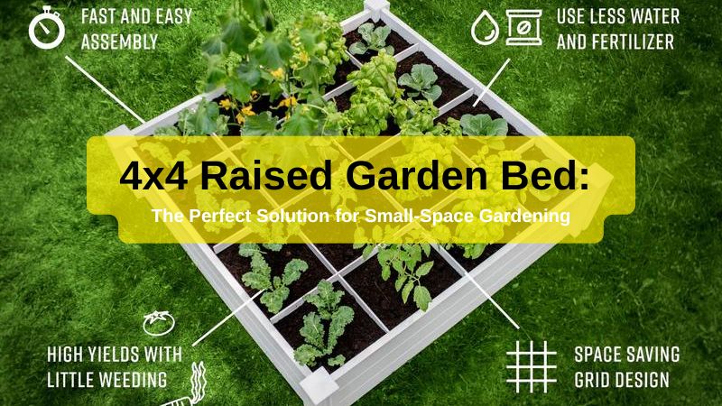 4×4 Raised Garden Bed: The Perfect Solution for Small-Space Gardening