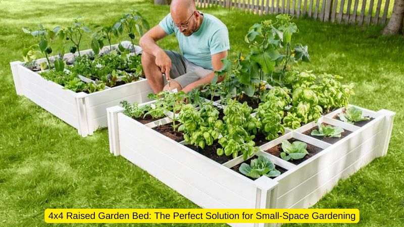 4x4 raised garden bed