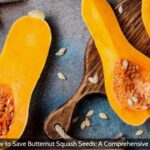 How to Save Butternut Squash Seeds: A Comprehensive Guide