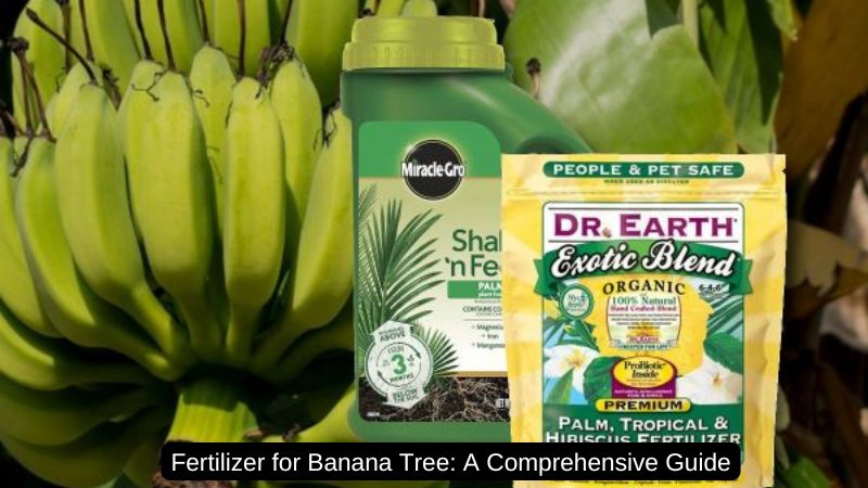 Fertilizer for Banana Trees