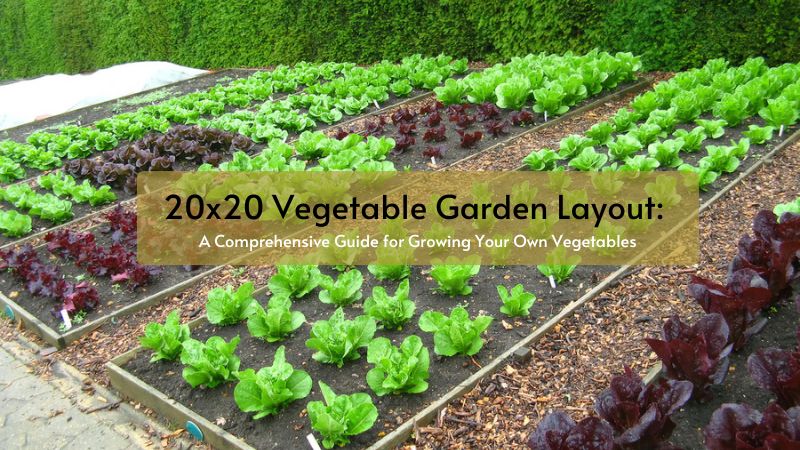 20x20 Vegetable Garden Layout