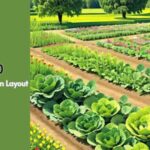 20x20 Vegetable Garden Layout: A Comprehensive Guide for Growing Your Own Vegetables