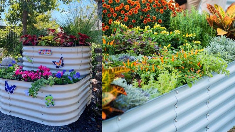 Corrugated Steel Garden Beds