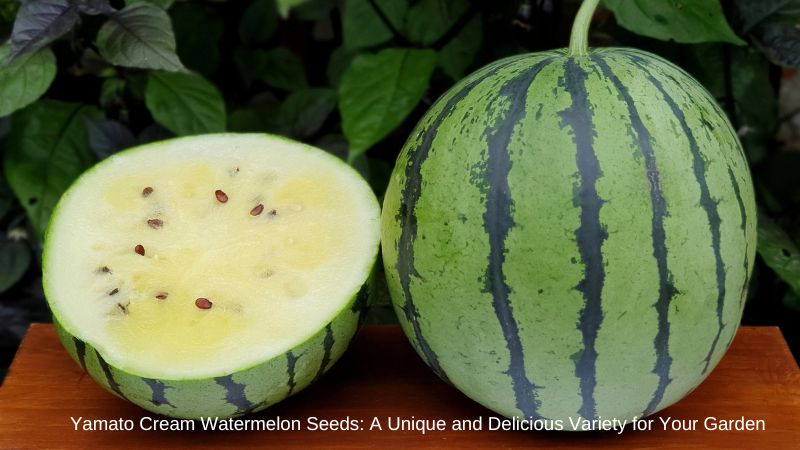 Yamato Cream Watermelon Seeds